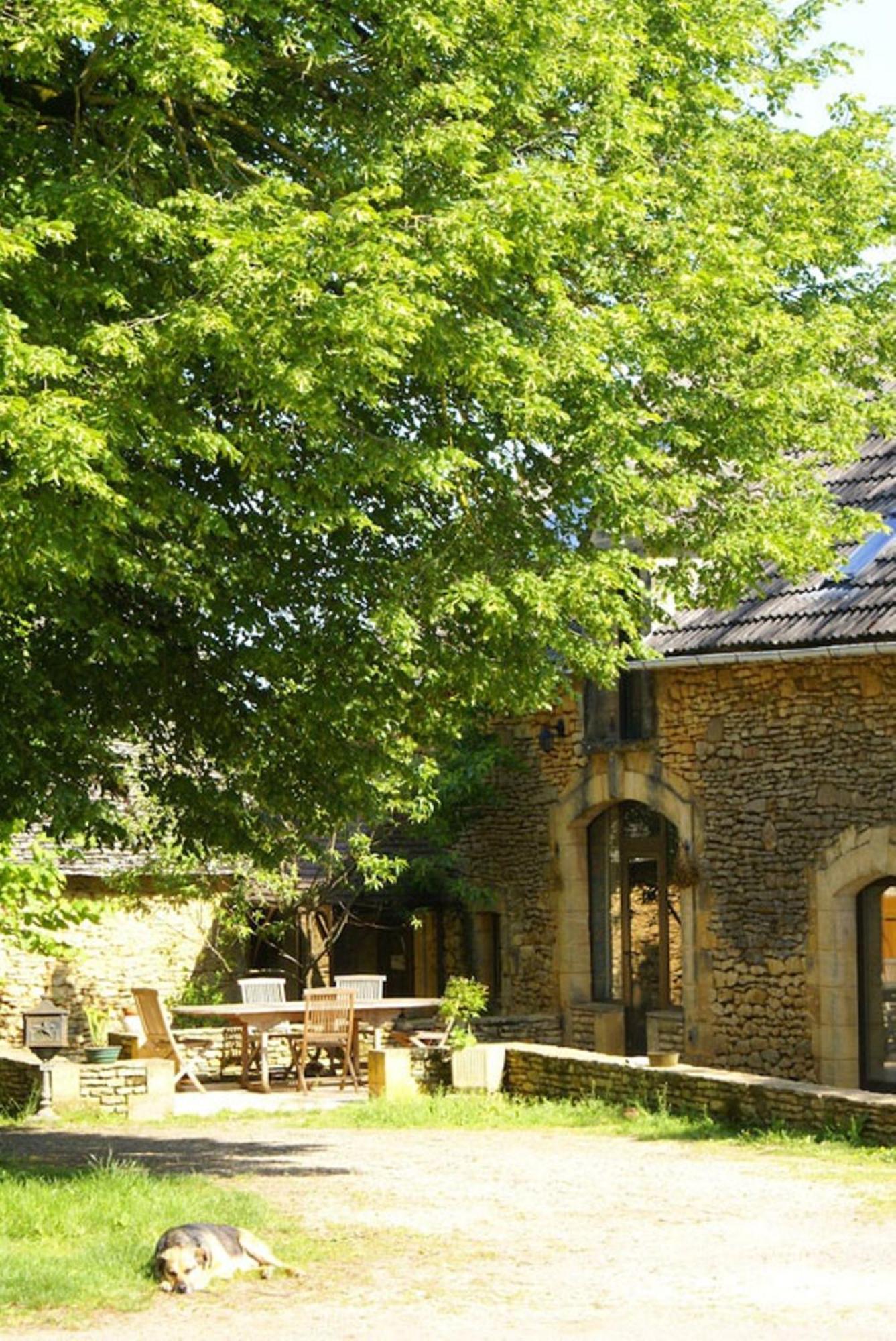Saint-Geniès La Ferme Du Pech Bed & Breakfast エクステリア 写真